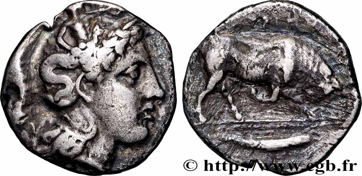 LUCANIA - THOURIOI Nomos, statère ou didrachme XF