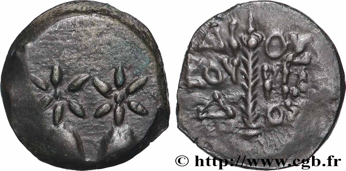 COLCHIS - DIOSKOUROS Unité AU