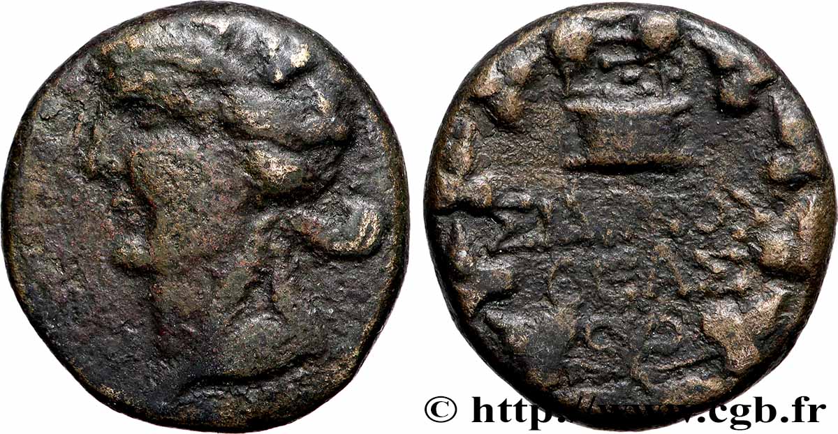 FENICIA - SIDO Tetrachalque MBC