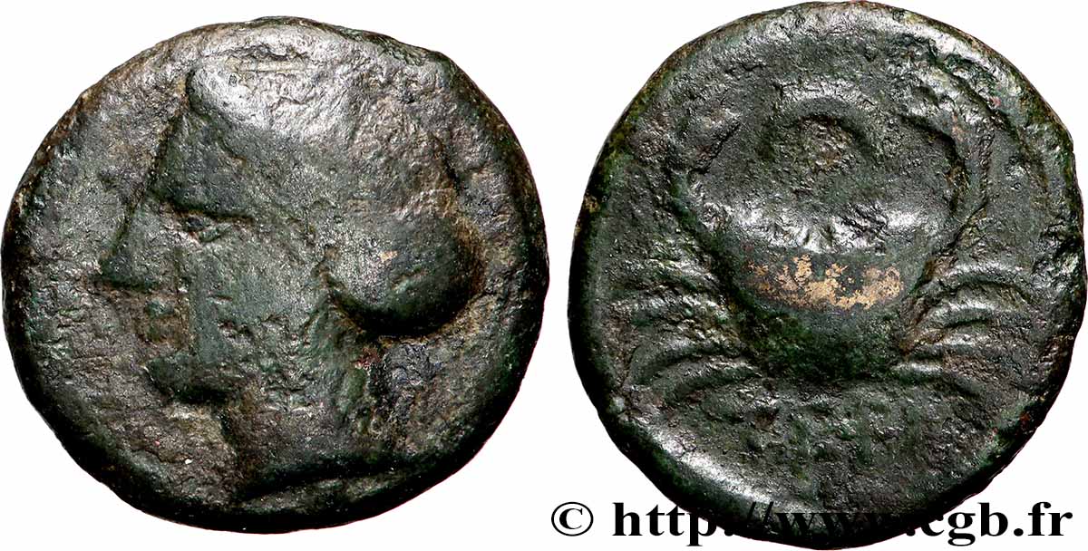 BRUTIUM - TERINA Tetras BC+