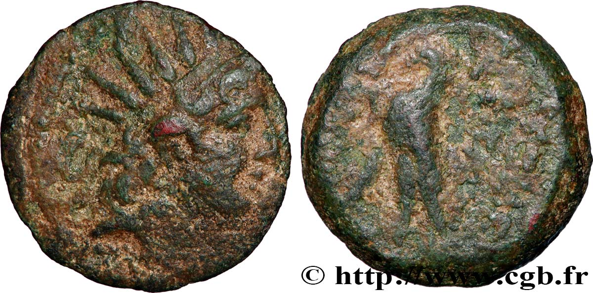SYRIA - SELEUKID KINGDOM - ANTIOCHOS VIII GRYPOS Unité VF