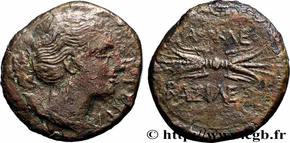 SIKILIEN - SYRAKUS Hemilitron fSS