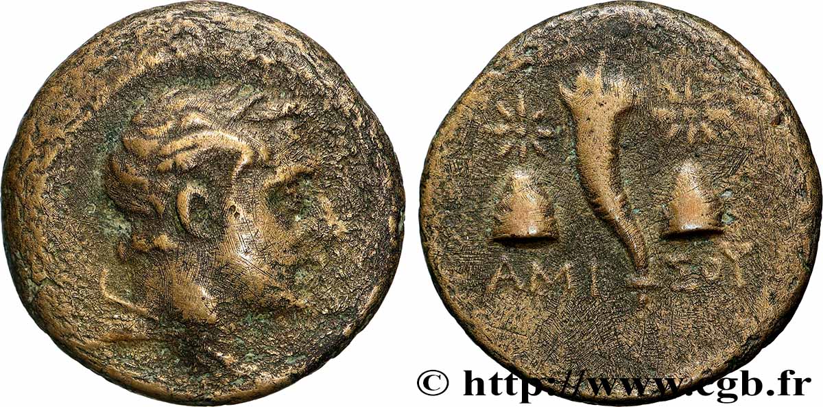 PONTUS - AMISOS Dichalque fSS/SS