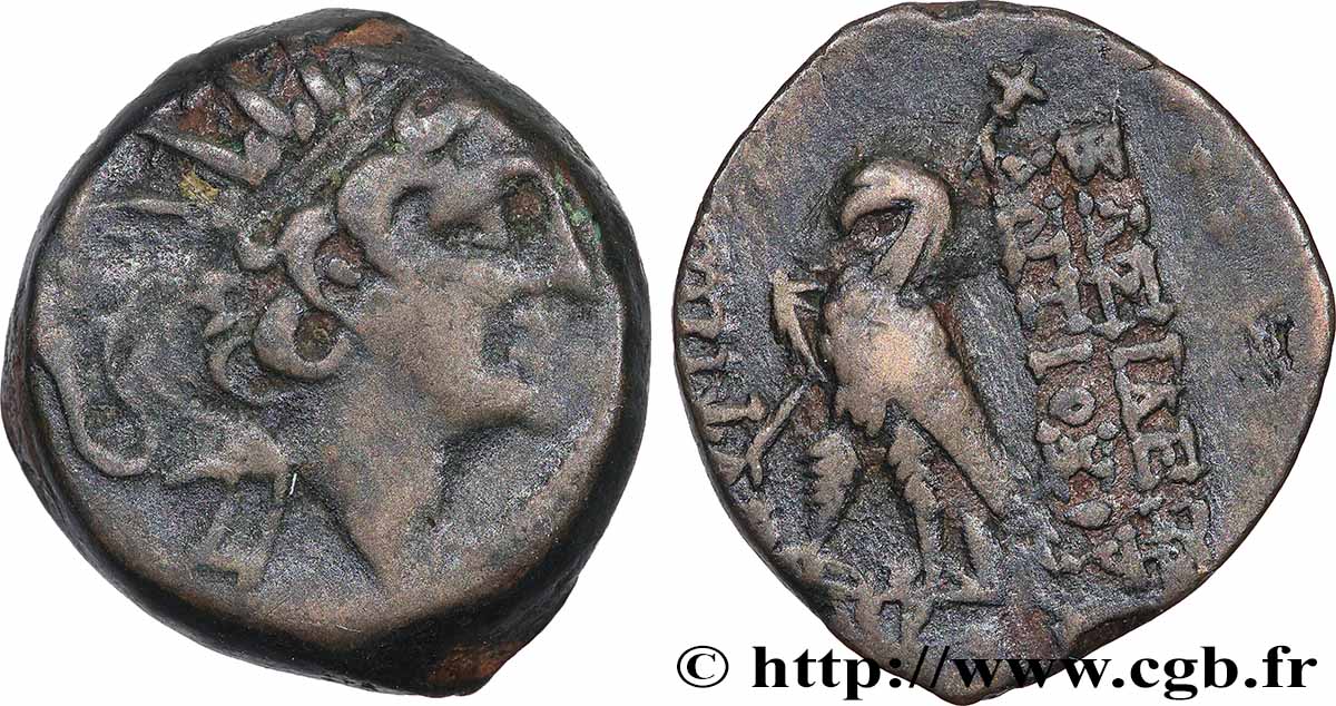 SYRIE - ROYAUME SÉLEUCIDE - ANTIOCHUS VIII GRYPUS Unité TTB/TB+