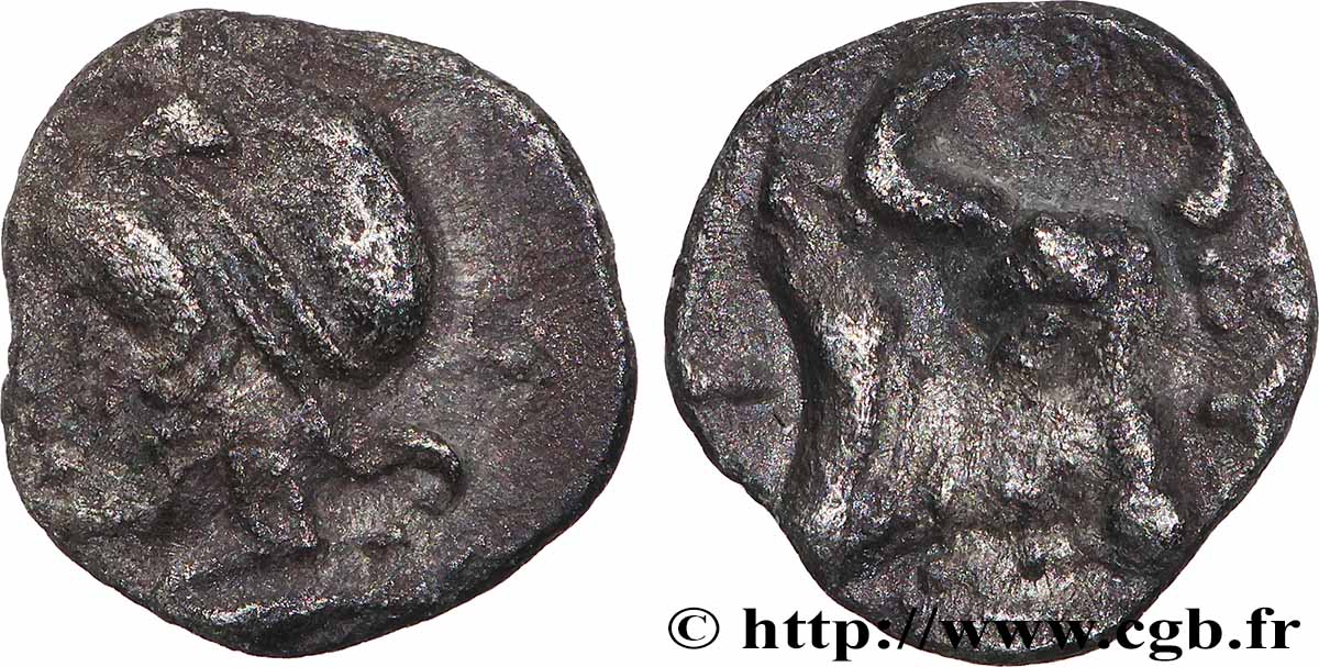 MYSIE - CYZIQUE Hemiobole TTB