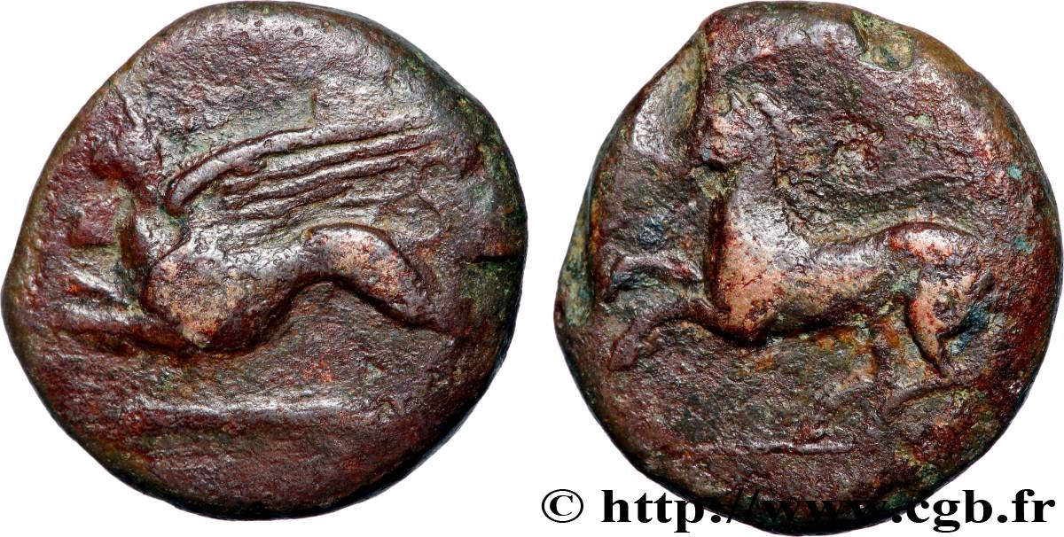 SICILE - ALAISA (KAINON) Hemilitron TB+