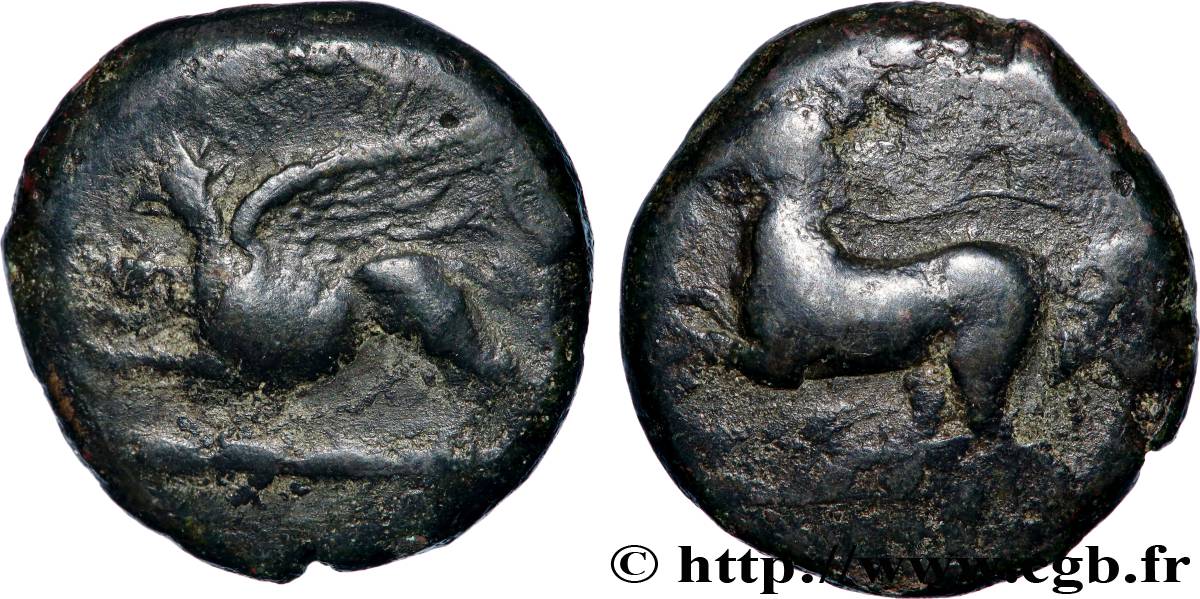 SICILE - ALAISA (KAINON) Hemilitron TB+