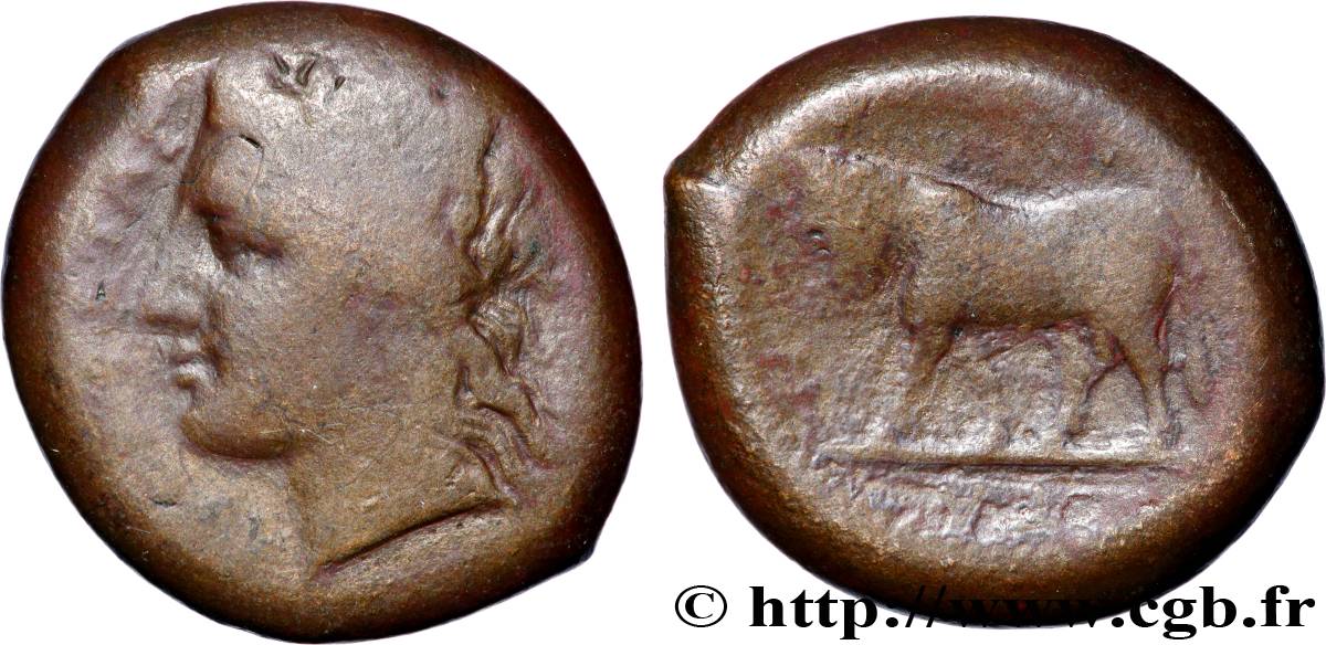 SICILE - TAUROMENIUM Dilitra TB+/TB