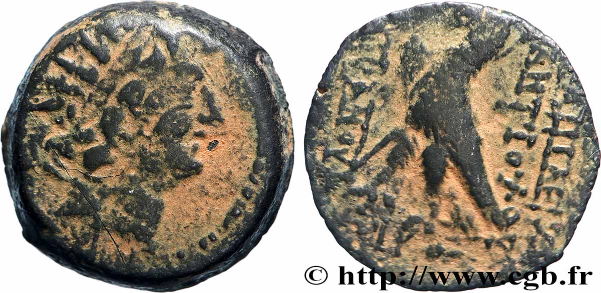 SYRIE - ROYAUME SÉLEUCIDE - ANTIOCHUS VIII GRYPUS Unité TB+
