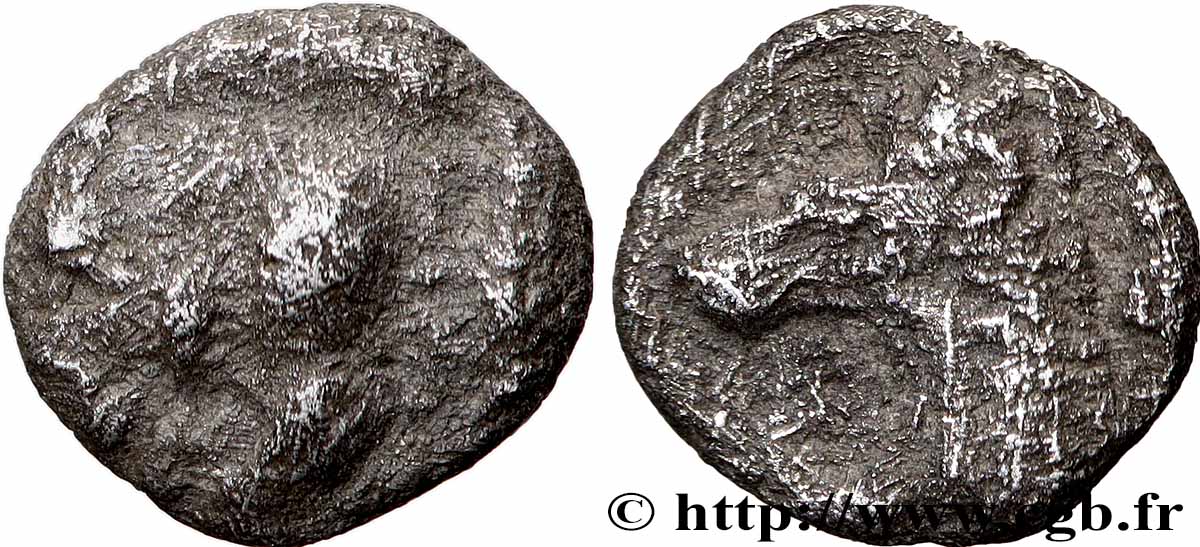 MYSIE - CYZIQUE Hemiobole TB