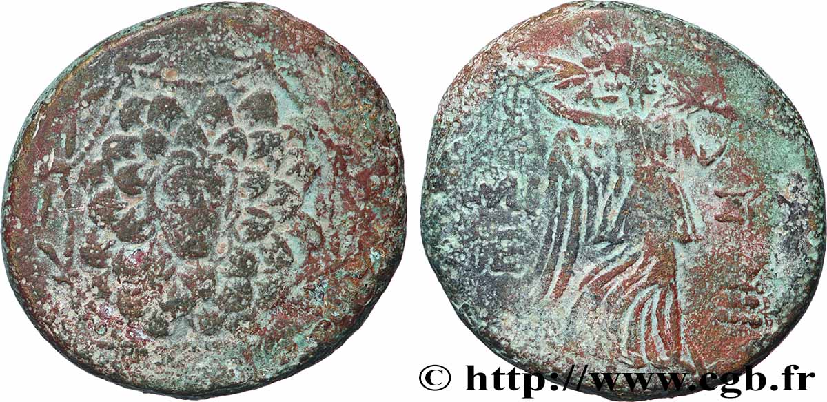 PONT - AMISOS Tetrachalque TB