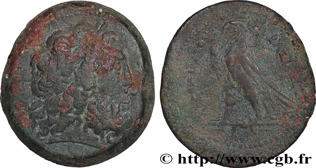 ÉGYPTE - ROYAUME LAGIDE - PTOLÉMÉE II PHILADELPHE Dichalque TB+