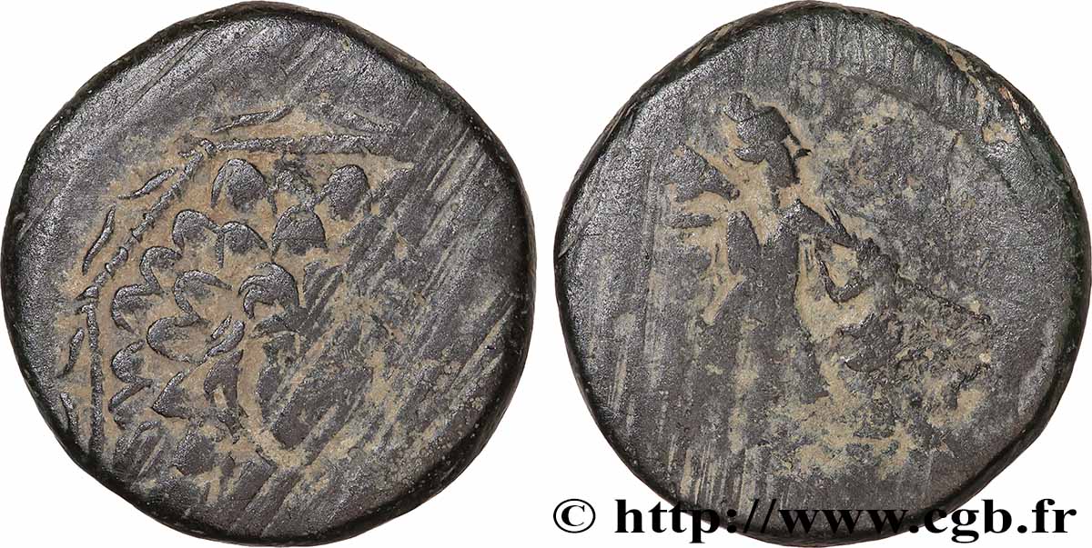 PONT - AMISOS Tetrachalque TB