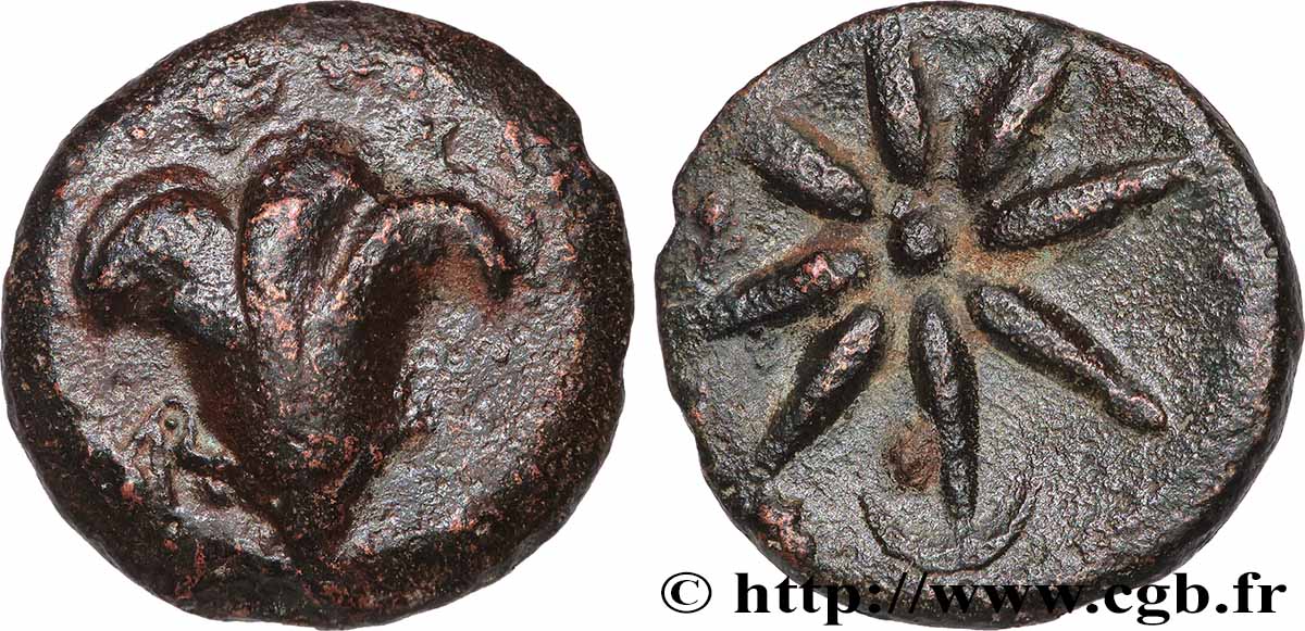 PONT - AMISOS Unité TB+/TTB