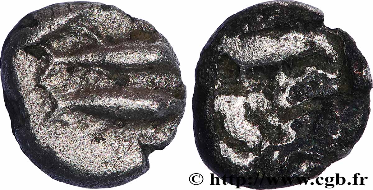 MYSIE - CYZIQUE Hémiobole TTB