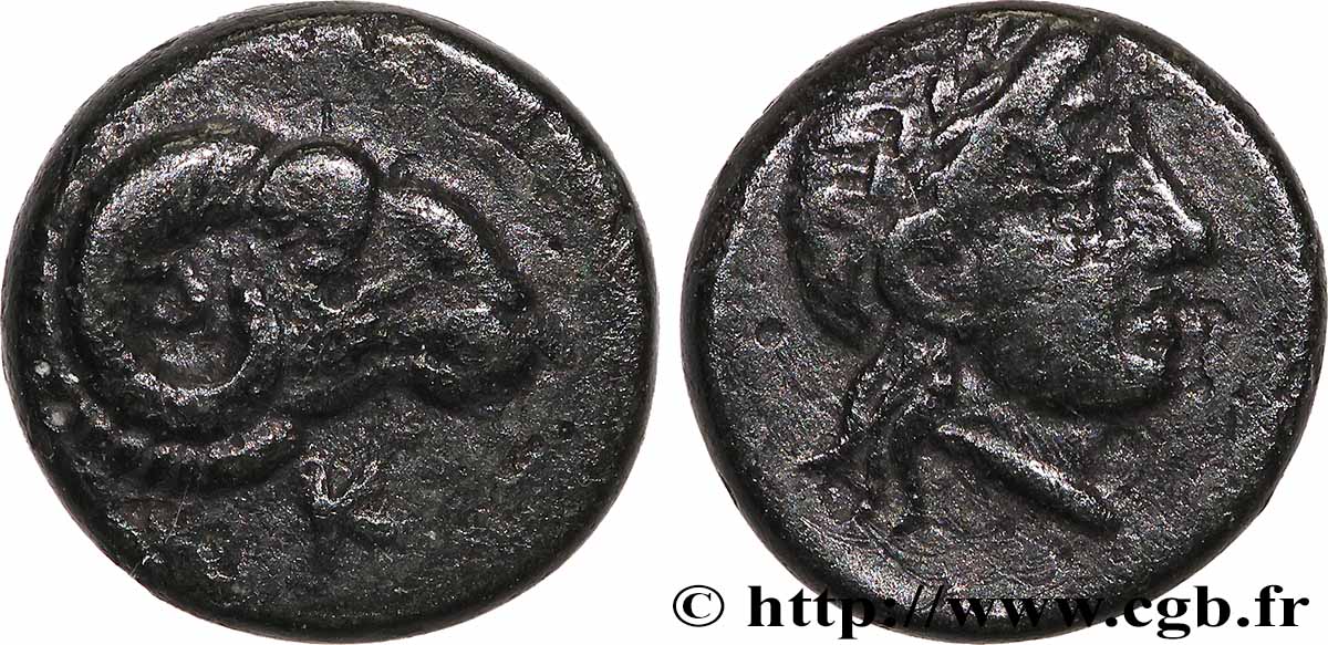 TROADE - CEBREN Unité TTB