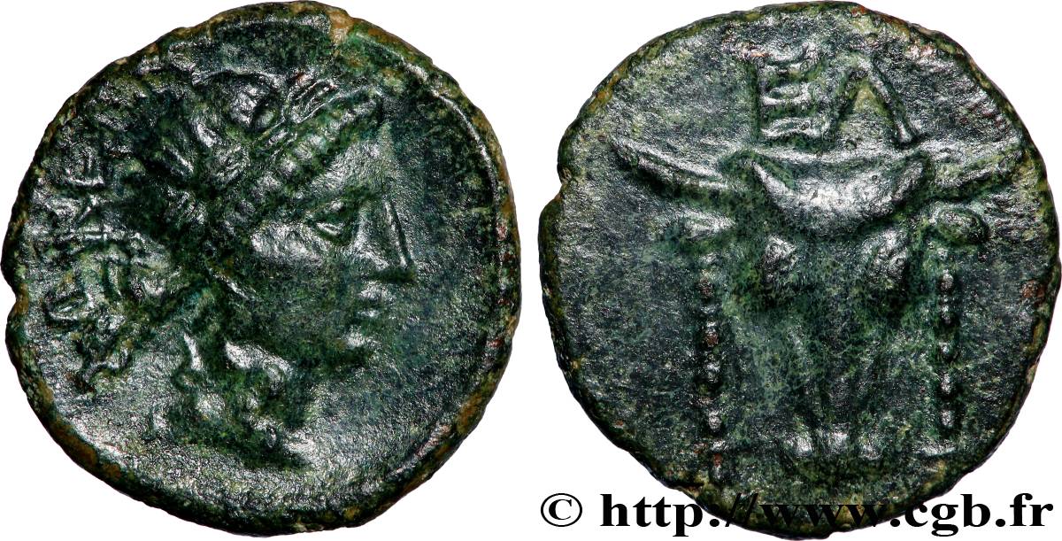 PHOCIDE - ELATEIA Unité TTB+