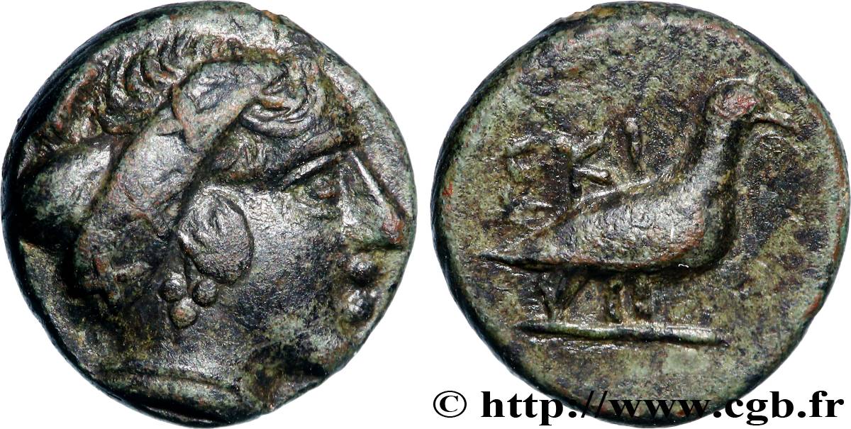 MACÉDOINE - SCIONÉ Chalque SUP