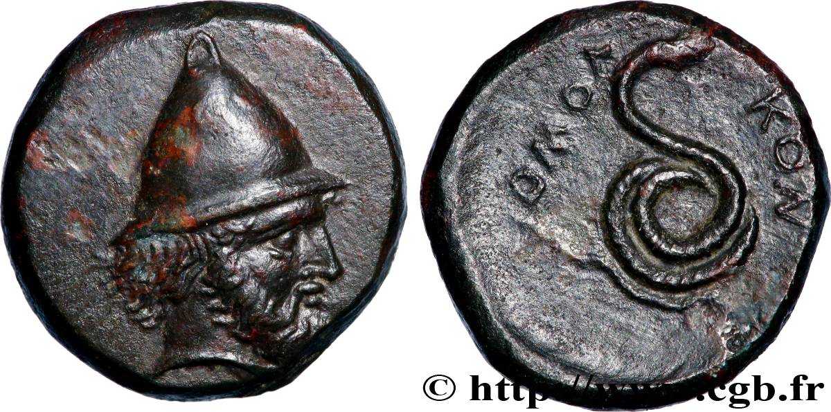 THESSALIE - HOMOLION Dichalque SUP/TTB+