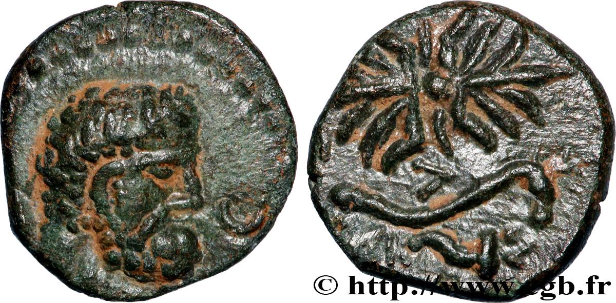 PISIDIE - SELGÉ Unité SUP