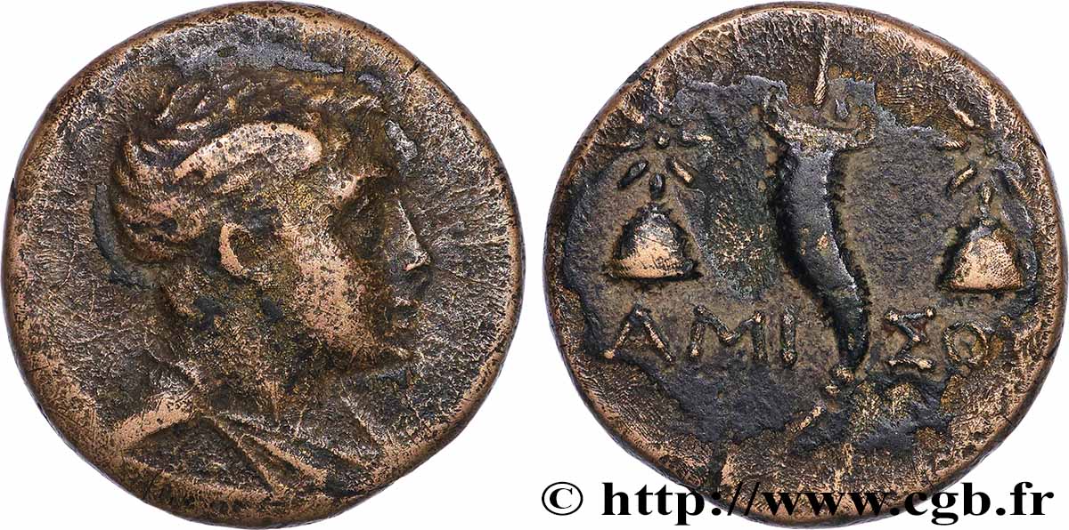 PONT - AMISOS Dichalque TTB