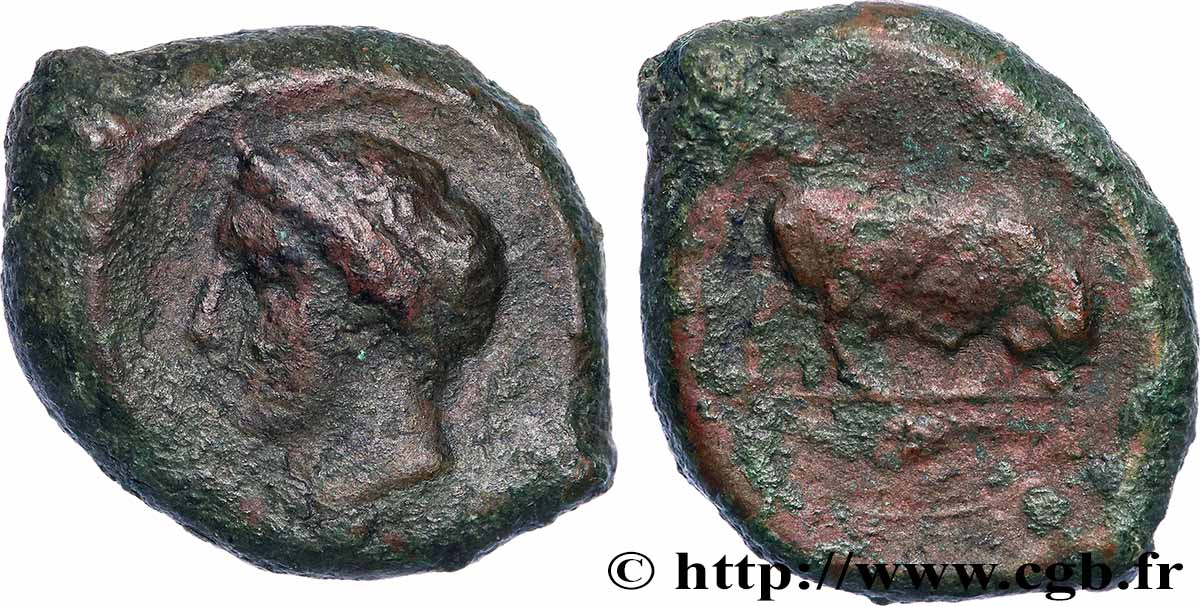 SICILE - ADRANON Hemilitron TB