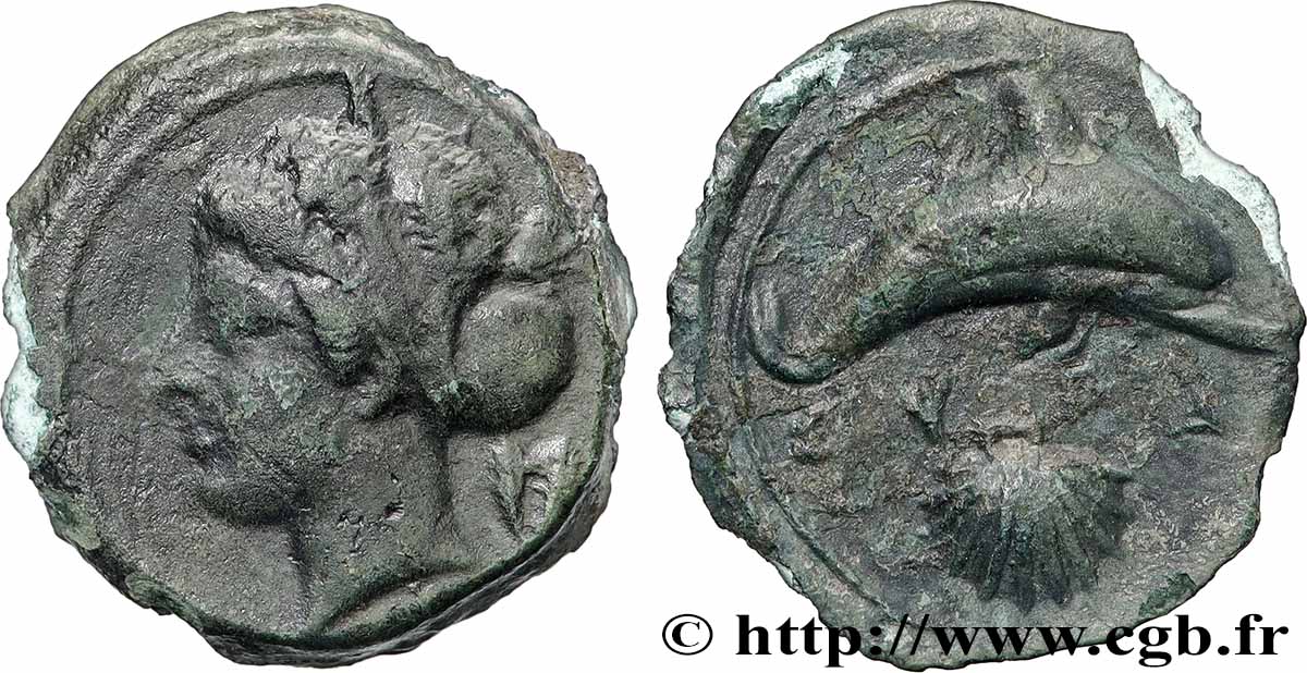 SICILE - SYRACUSE  Hemilitron TTB