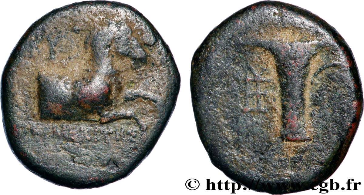 ÉOLIDE - CYMÉ Unité TB+