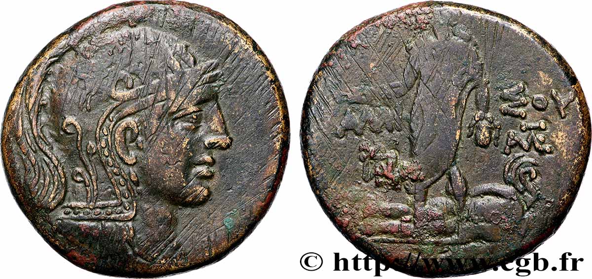 PONTUS - AMISOS Octochalque VF