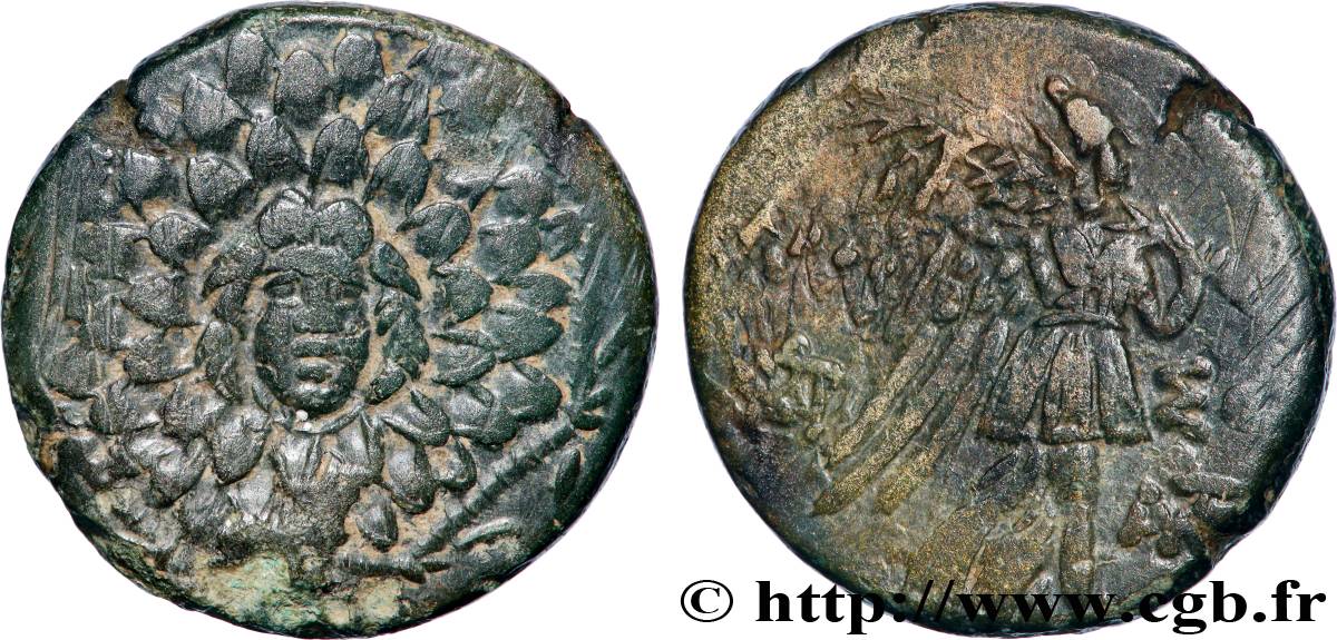 PONTUS - AMISOS Tetrachalque SS/fSS