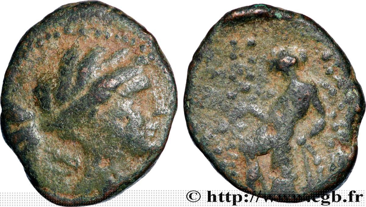 SYRIA - SELEUKID KINGDOM - SELEUCOS III CERAUNOS demi-unité VF
