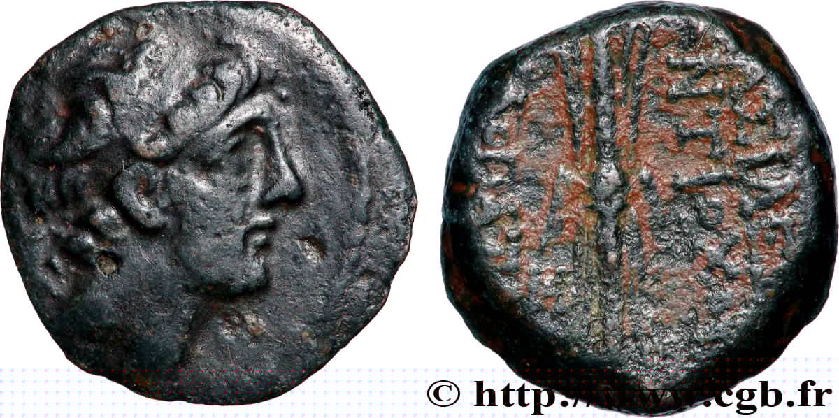 SYRIEN - SELEUKIDICHES KÖNIGREICH - ANTIOCHOS VIII GRYPOS Unité fSS