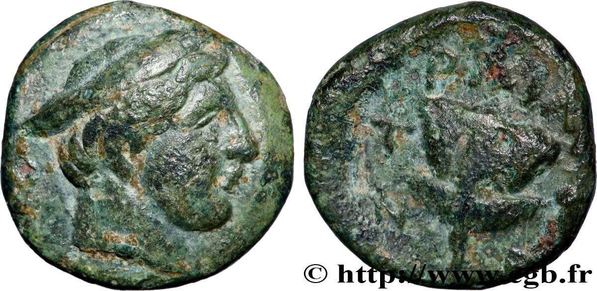 MAKEDONIEN - TRAGILOS Unité SS/fSS