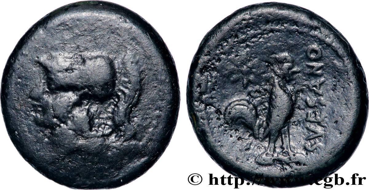 CAMPANIE - CALES unité TB+