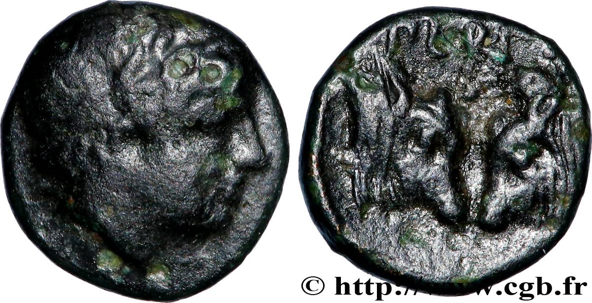 MISIA - PERGAMO Unité BB