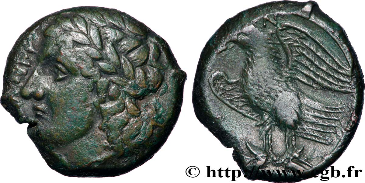 SICILY - SYRACUSE Hemilitron XF