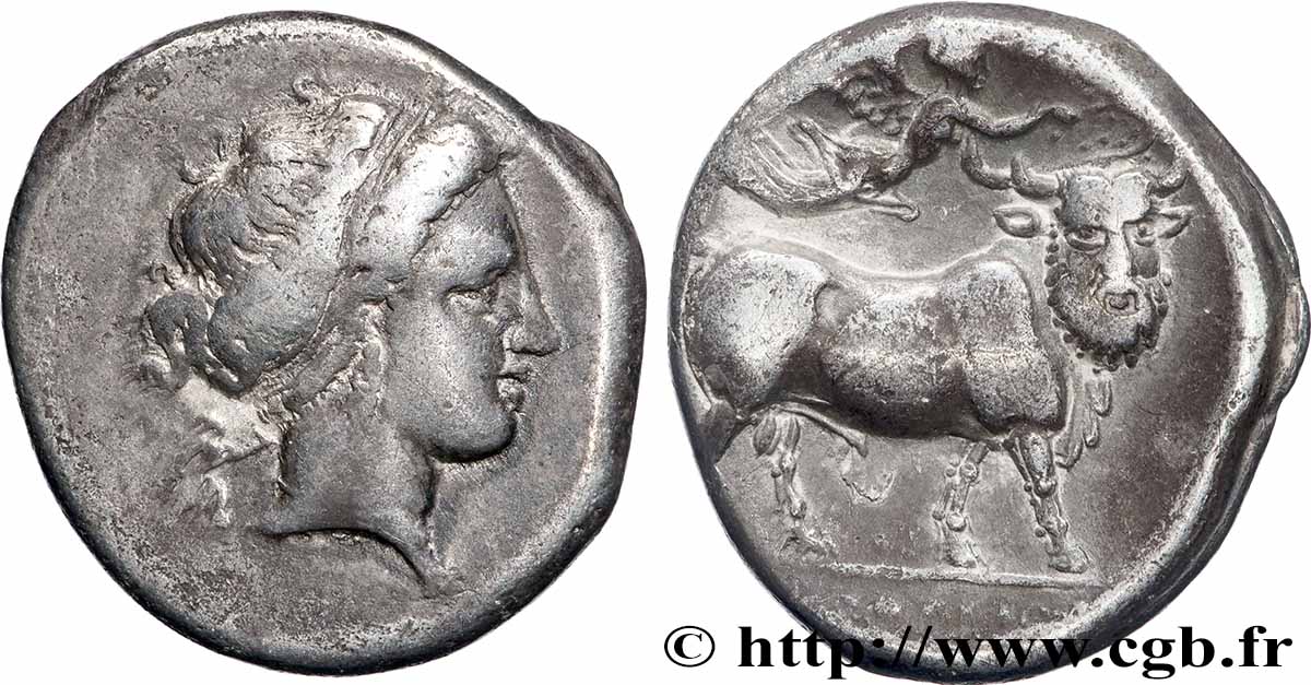 CAMPANIA - NEAPOLIS Nomos, statère ou didrachme XF/AU