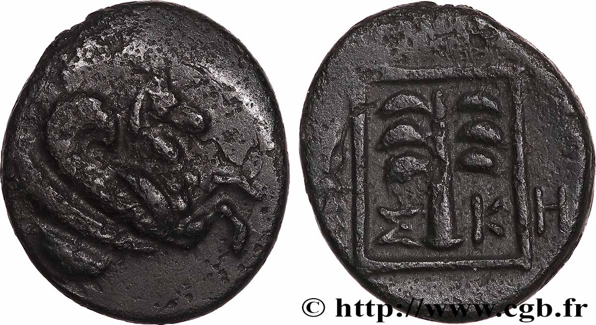 TROAS - SKEPSIS Demi-unité XF