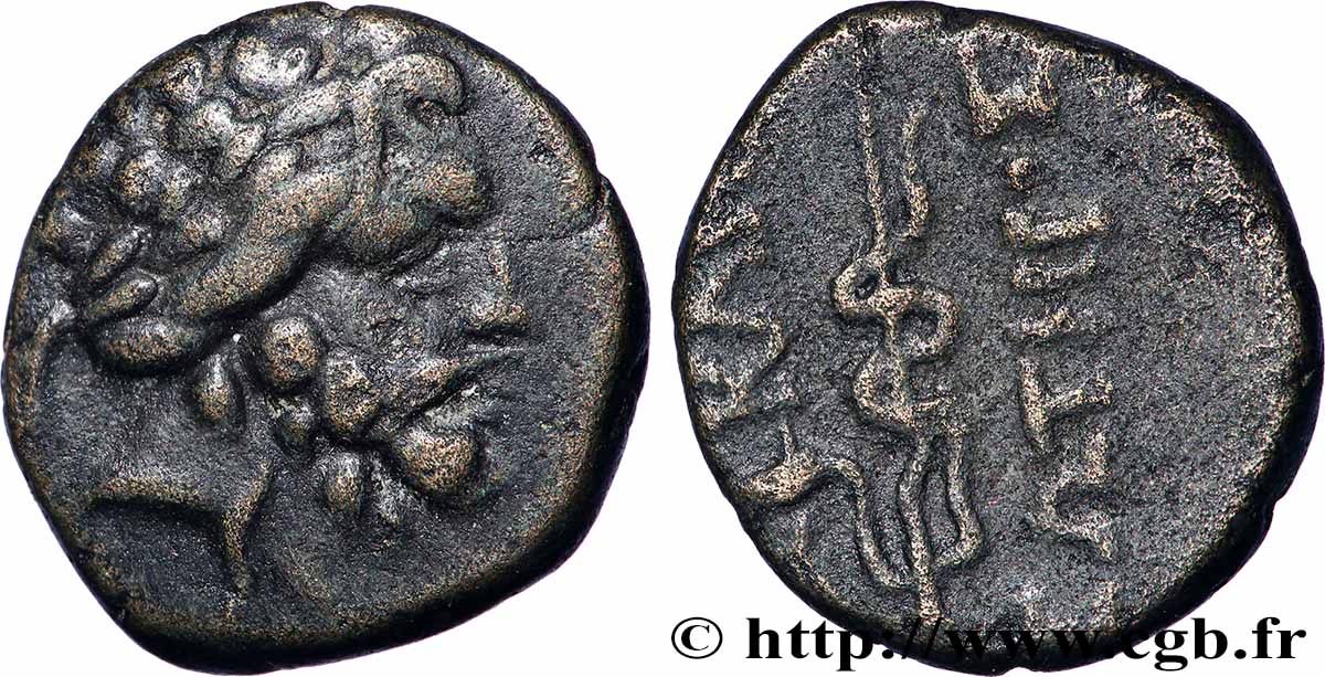 MYSIE - PERGAME Demi-unité TTB