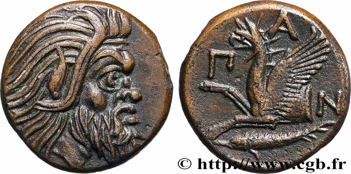 CHERSONESE TAURICA - PANTICAEA Unité SPL