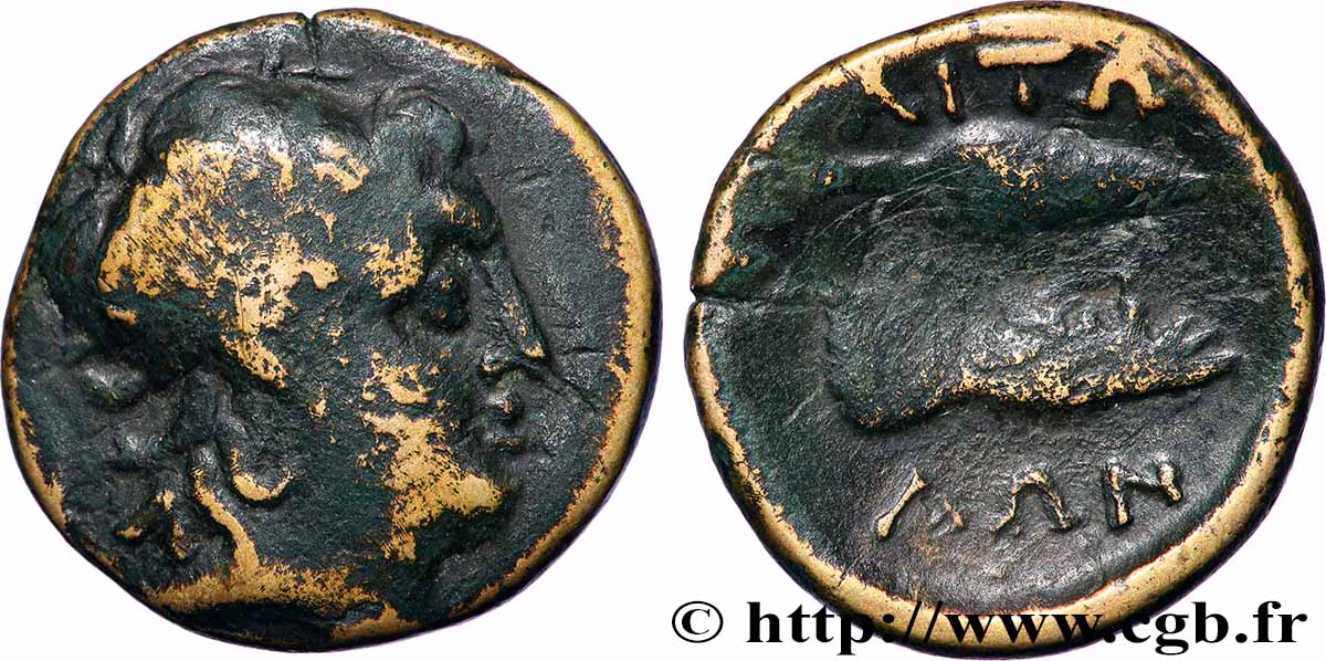 AITOLIEN - AITOLIAN BUND Hemiobole fSS