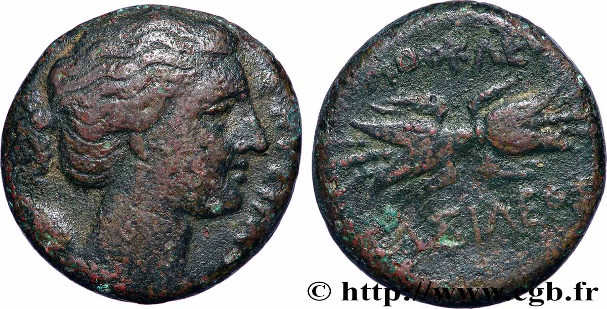 SIKILIEN - SYRAKUS Hemilitron fSS