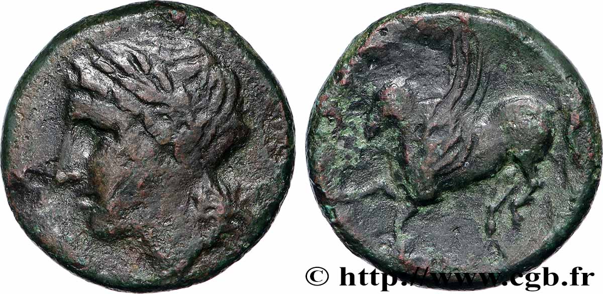 SIKILIEN - SYRAKUS Hemilitron fSS