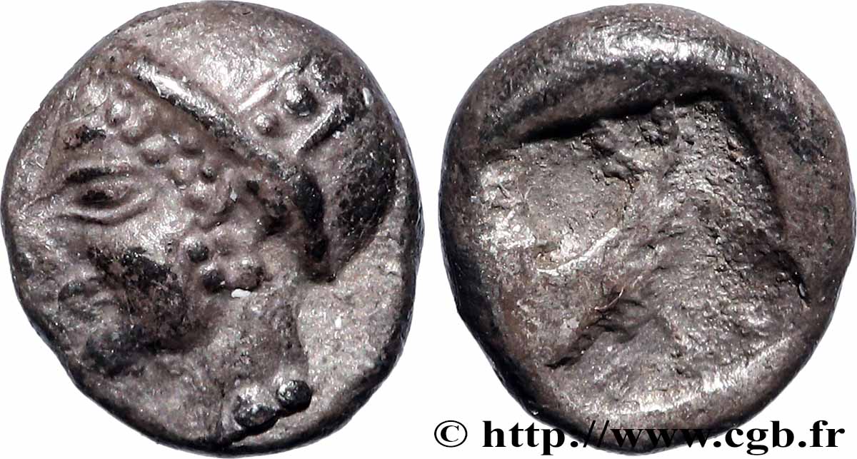 IONIE - PHOCÉE Tetartemorion SUP