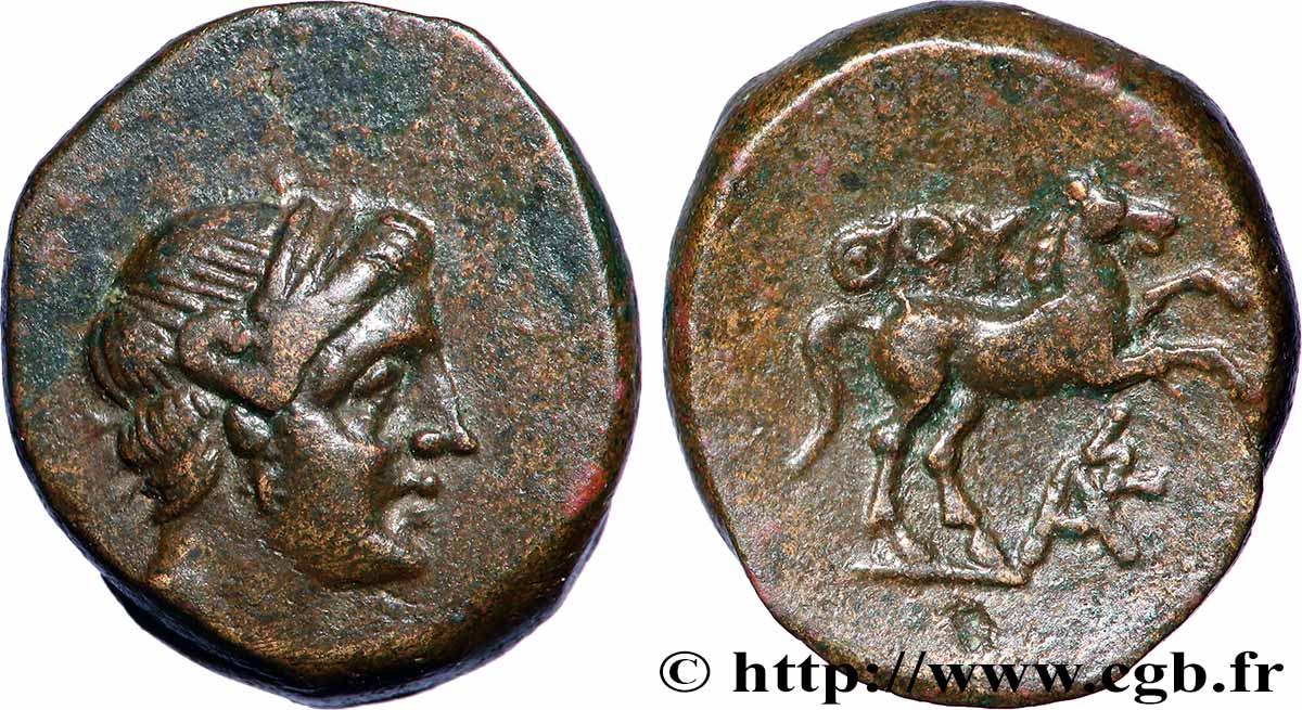 LUCANIA - THURIUM Demi-unité q.SPL