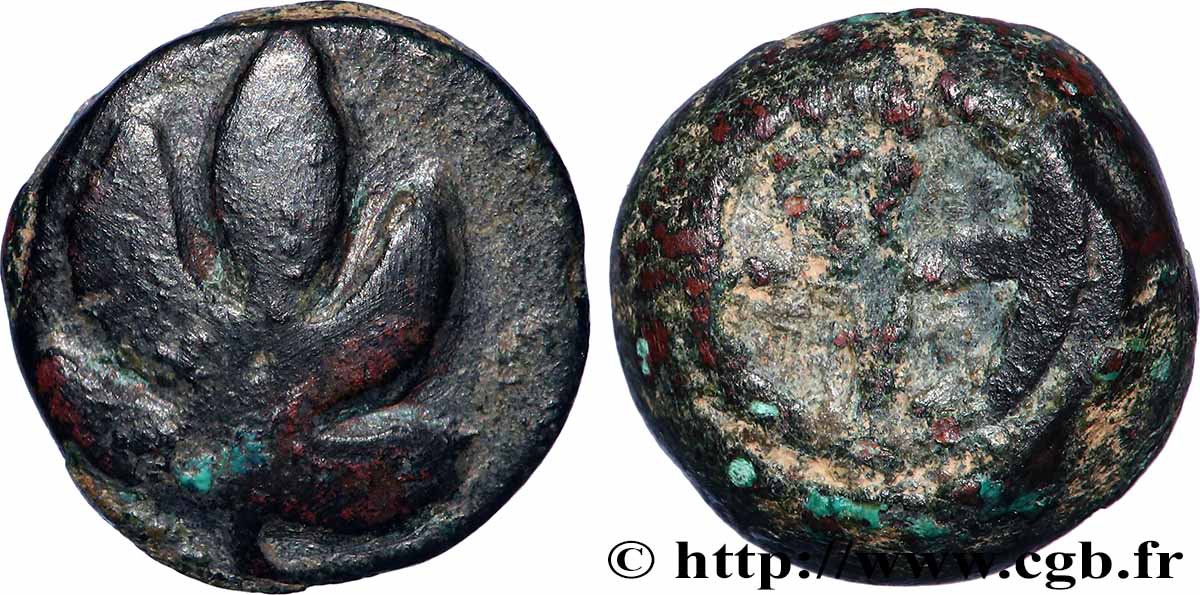 CARIA - ISOLA DI CARIA - CAMIRUS Unité q.BB