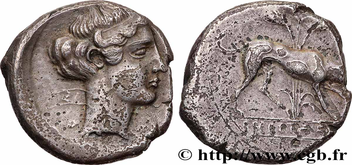 SICILE - SÉGESTE Didrachme TTB/TTB+