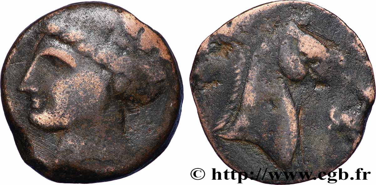 ZEUGITANE - CARTHAGE Shekel TB