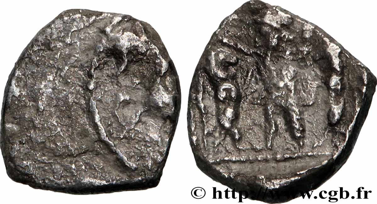 SAMARIE Hemibole TB+/TTB