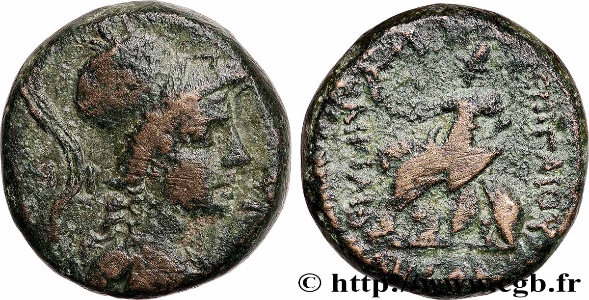 PONT - AMISOS Tetrachalque TB+